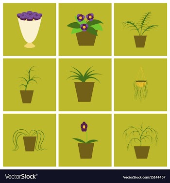 Assembly flat icons houseplants vector image