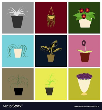 Assembly flat icons houseplants vector image