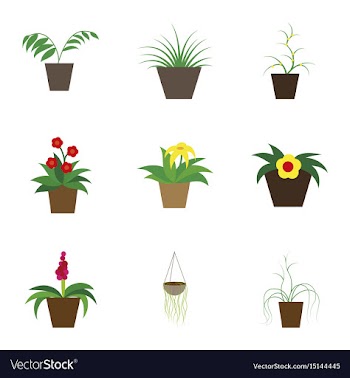 Assembly flat icons houseplants vector image