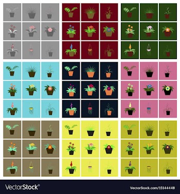 Assembly flat icons houseplants vector image