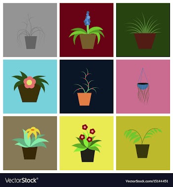 Assembly flat icons houseplants vector image