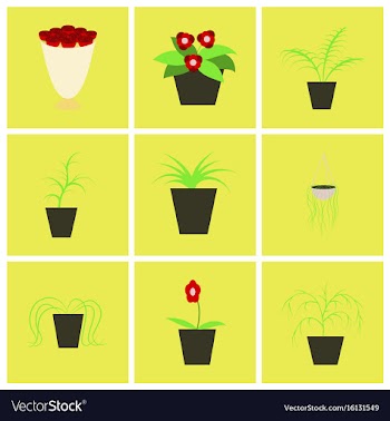 Assembly flat icons houseplants vector image