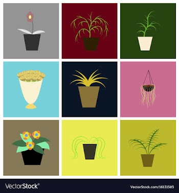 Assembly flat icons houseplants vector image
