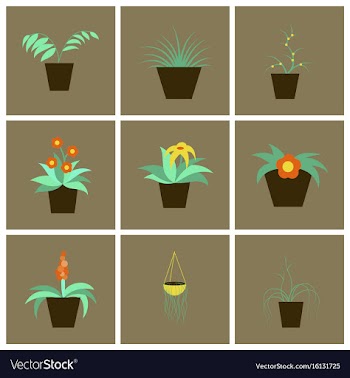 Assembly flat icons houseplants vector image