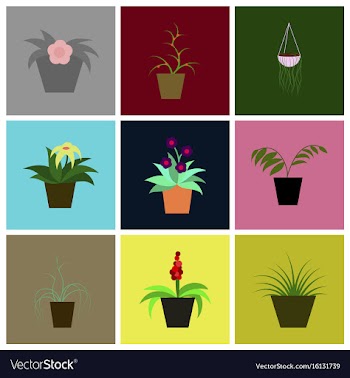 Assembly flat icons houseplants vector image