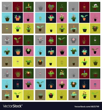 Assembly flat icons houseplants vector image
