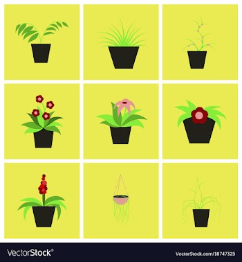 Assembly flat icons houseplants vector image