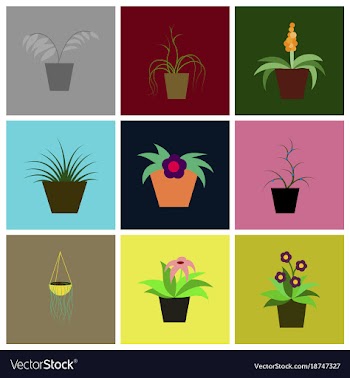 Assembly flat icons houseplants vector image