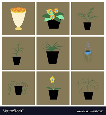 Assembly flat icons houseplants vector image
