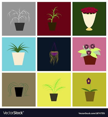 Assembly flat icons houseplants vector image