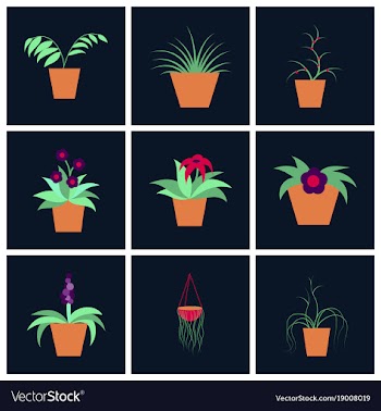 Assembly flat icons houseplants vector image