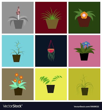 Assembly flat icons houseplants vector image