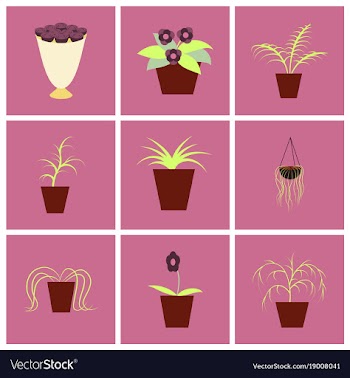 Assembly flat icons houseplants vector image