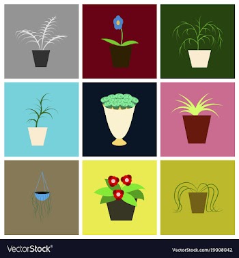 Assembly flat icons houseplants vector image