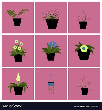 Assembly flat icons houseplants vector image