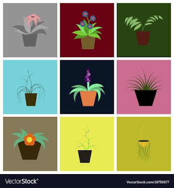 Assembly flat icons houseplants vector image