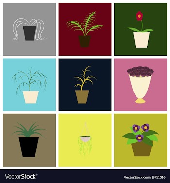 Assembly flat icons houseplants vector image