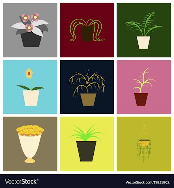 Assembly flat icons houseplants vector image