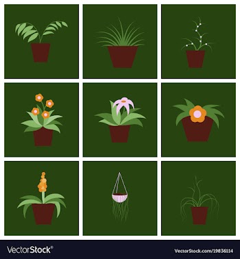 Assembly flat icons houseplants vector image