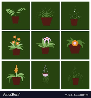Assembly flat icons houseplants vector image