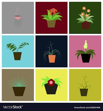 Assembly flat icons houseplants vector image