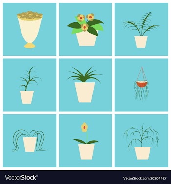 Assembly flat icons houseplants vector image