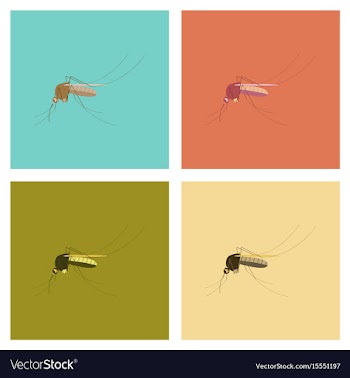Assembly flat icons insect mosquito vector image