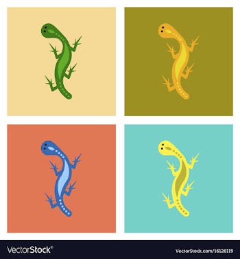 Assembly flat icons lizard reptile vector image