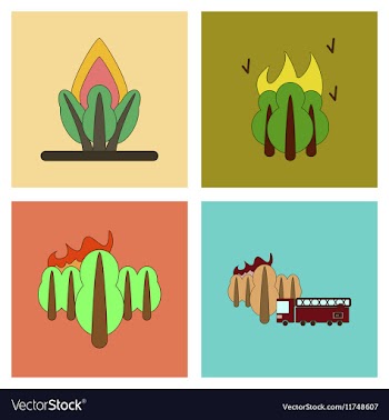 Assembly flat icons natural disasters vector image