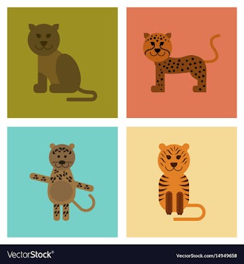 Assembly flat icons nature cartoon panther tiger vector image