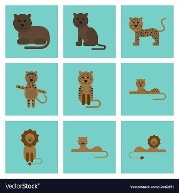 Assembly flat icons nature cartoon tiger lioness vector image