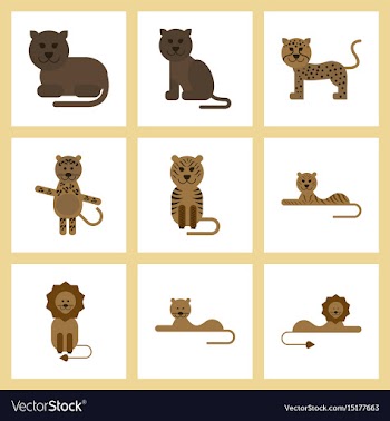 Assembly flat icons nature cartoon tiger lioness vector image
