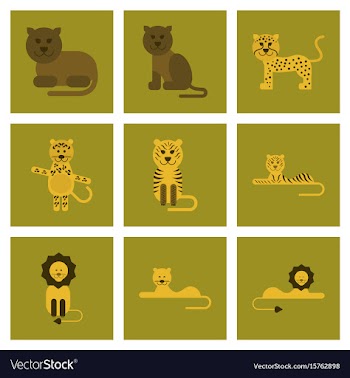 Assembly flat icons nature cartoon tiger lioness vector image