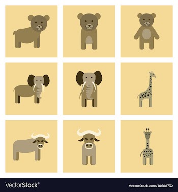 Assembly flat icons nature giraffe bull bear vector image