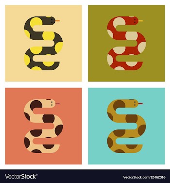 Assembly flat icons nature wildlife snake vector image