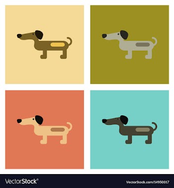 Assembly flat icons pet dog dachshund vector image