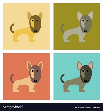 Assembly flat icons pet dog pitbull vector image
