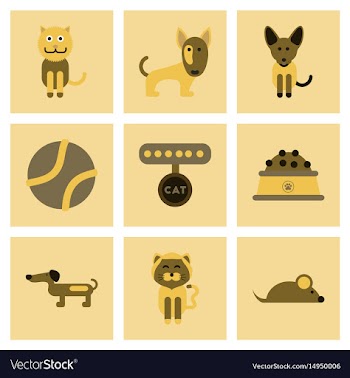 Assembly flat icons pets and accessories vector image