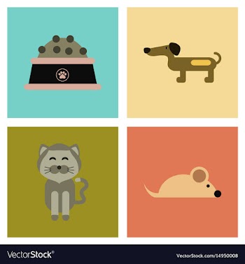 Assembly flat icons pets and accessories vector image