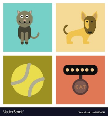 Assembly flat icons pets and accessories vector image