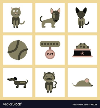 Assembly flat icons pets and accessories vector image