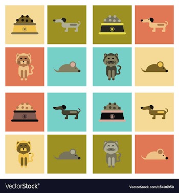 Assembly flat icons pets and accessories vector image