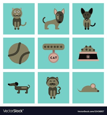 Assembly flat icons pets and accessories vector image