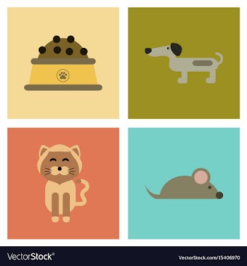 Assembly flat icons pets and accessories vector image