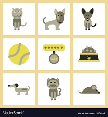 Assembly flat icons pets and accessories vector image