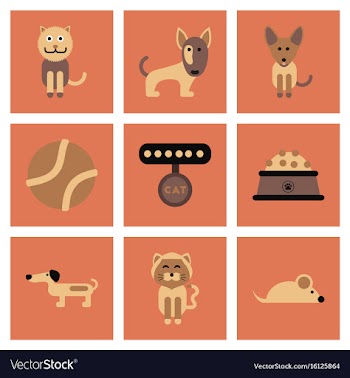 Assembly flat icons pets and accessories vector image