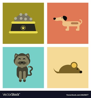 Assembly flat icons pets and accessories vector image
