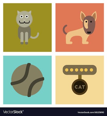Assembly flat icons pets and accessories vector image