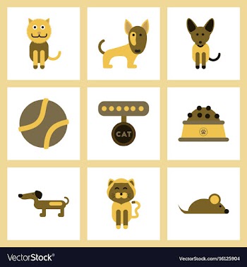 Assembly flat icons pets and accessories vector image