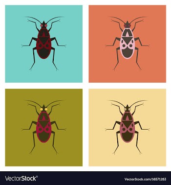 Assembly flat icons soldier bug vector image